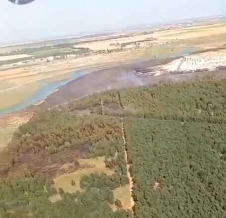 Incendio forestal en Gibraleón declarado extinguido por el Infoca