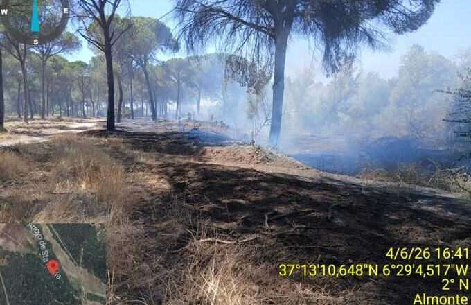 Incendio en el paraje Venta la Piedra de Almonte controlado por el Infoca