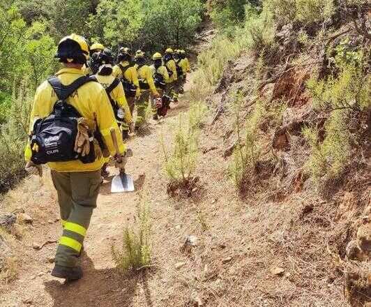 El Infoca extingue el incendio forestal de Gibraleón y controla el fuego en Alosno