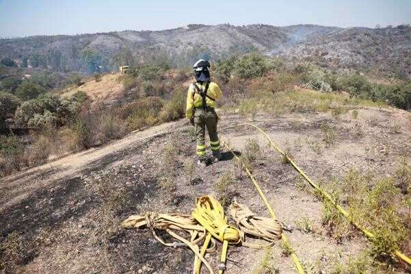 Subdelegada informa sobre la solicitud de declaración de zona gravemente afectada por el incendio de Castillejos