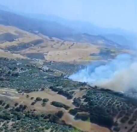 Incendio forestal en Antequera estabilizado