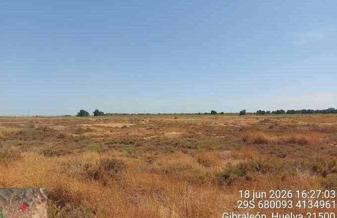 El Infoca declara extinguido el incendio en Marismas del Burro