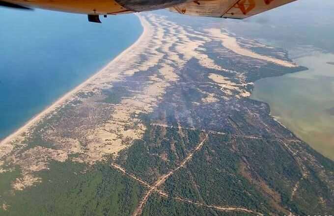El Consejo de Participación examina el incendio de mayo en Doñana a la espera del informe sobre las causas