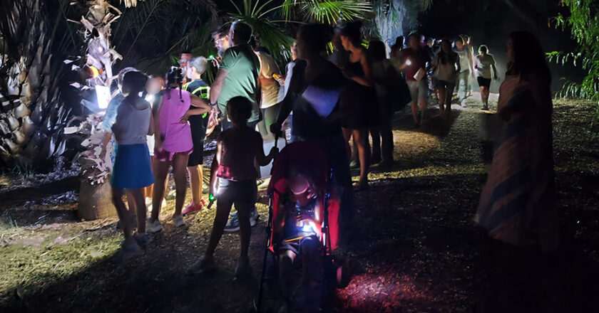 Disfruta de las noches de verano en familia en el parque