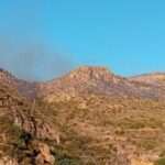 Once personas han perdido la vida en el incendio forestal de Los Gallardos