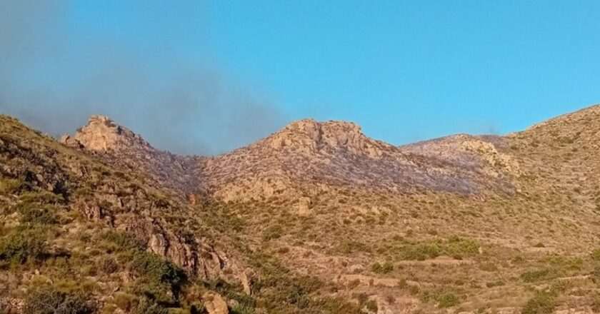 Once personas han perdido la vida en el incendio forestal de Los Gallardos