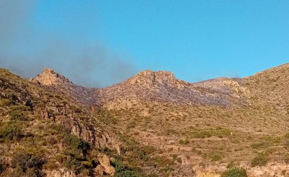 Once personas han perdido la vida en el incendio forestal de Los Gallardos