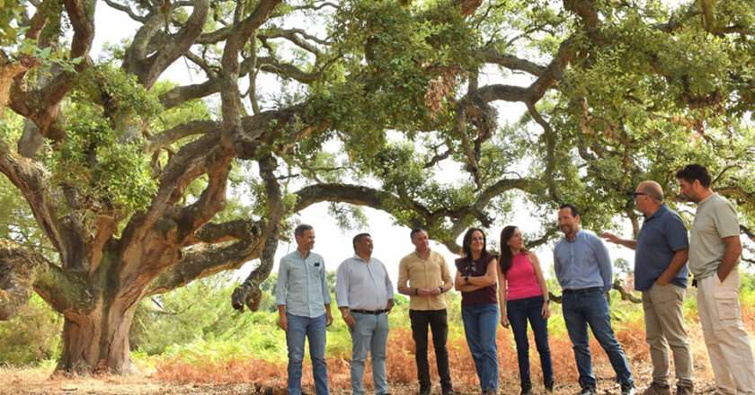 La Junta vuelve a rechazar el deslinde de las marismas de Doñana propuesto por el Estado