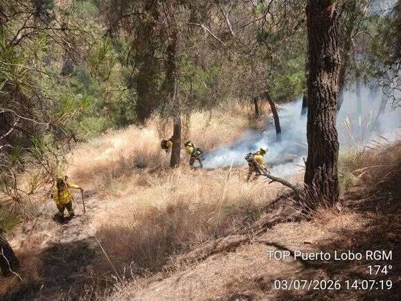 Incendio forestal en el paraje del Sacromonte logrado controlar