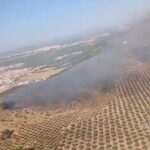 Incendio forestal declarado en Humilladero