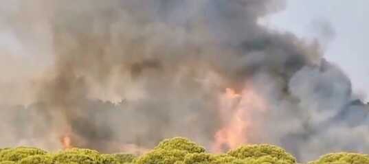Incendio cerca de Islantilla Golf en Lepe estabilizado y el Infoca desciende a situación operativa 0