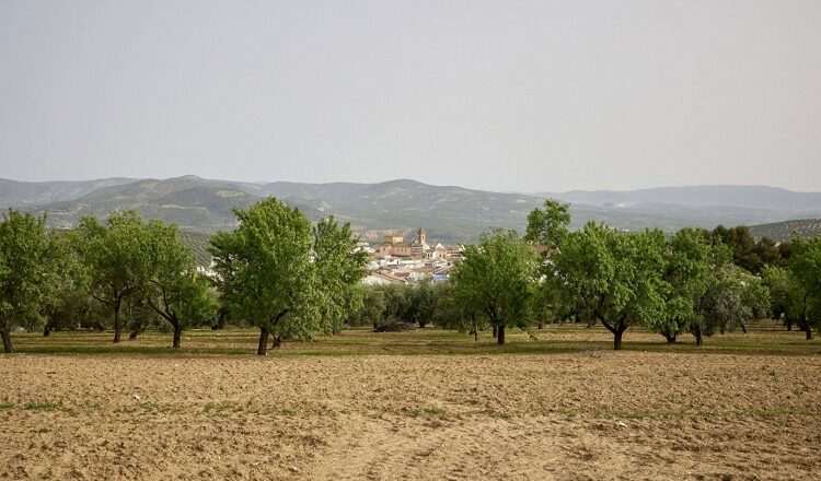 Casas rurales en Córdoba