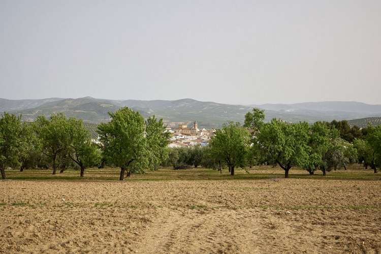 Casas rurales en Córdoba