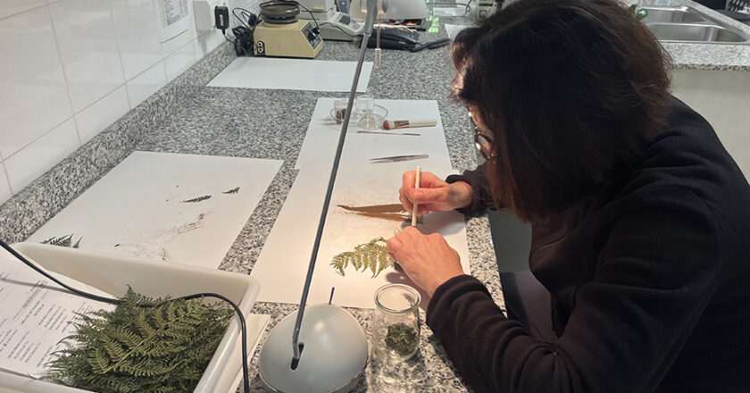 El Banco de Germoplasma Vegetal Andaluz: un refugio esencial para la conservación de la flora silvestre
