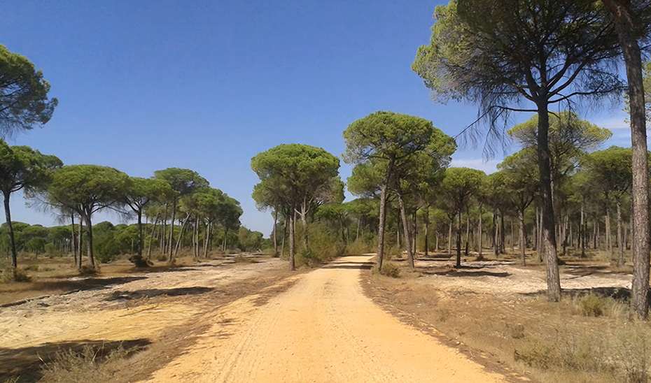 Andalucía lidera la inversión nacional para la recuperación de vías pecuarias