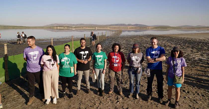 La Laguna de Fuente de Piedra ofrece una experiencia única con el anillamiento de 600 pollos de flamenco