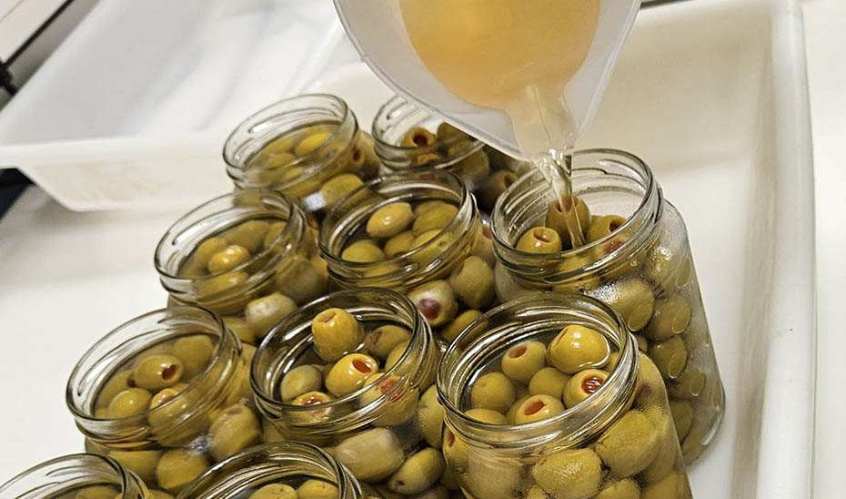 Investigación logra aceitunas rellenas con 50% menos de sal y mayor contenido nutricional