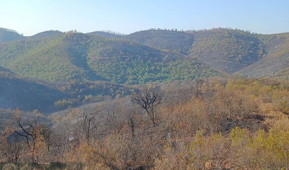 El incendio de Niebla se mantiene estable y se enfoca en consolidar el perímetro