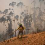 Junta informa que incendio en Niebla ha afectado 33.000 hectáreas