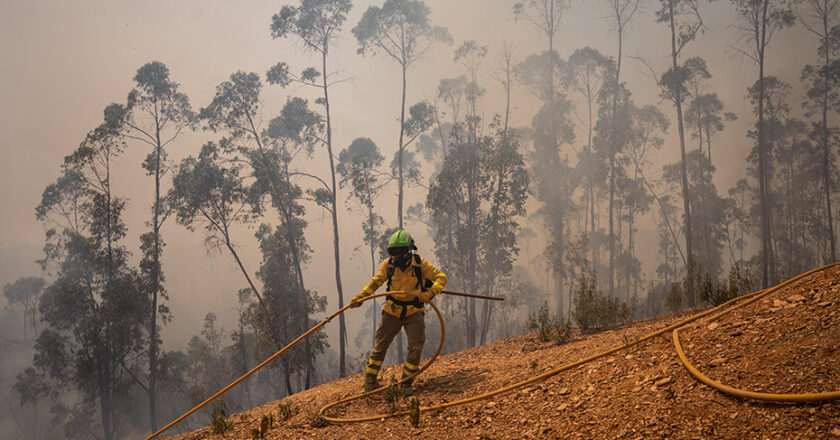 Junta informa que incendio en Niebla ha afectado 33.000 hectáreas