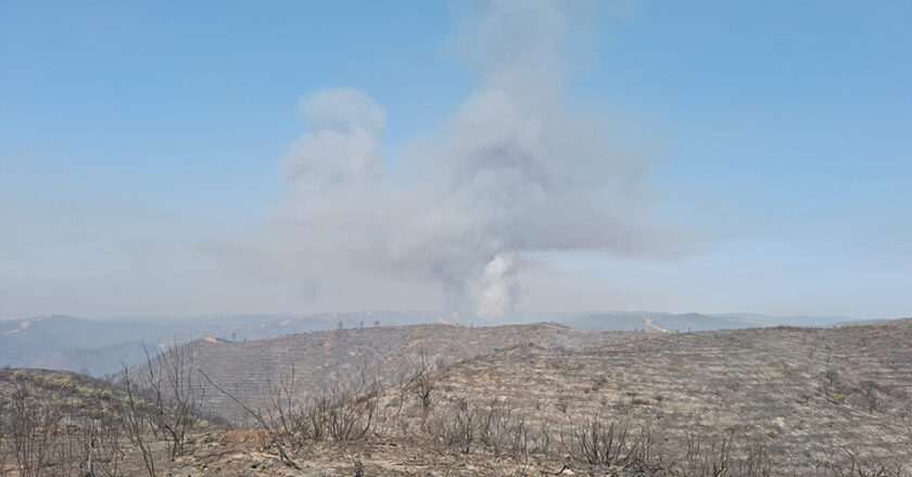 Solicitan la declaración de ‘desastre natural’ por el incendio en Niebla