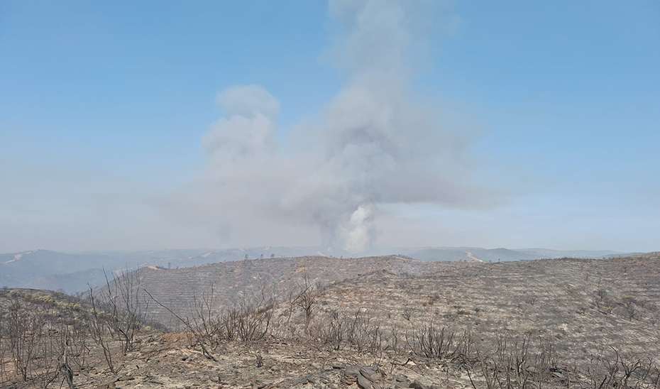 Solicitan la declaración de ‘desastre natural’ por el incendio en Niebla