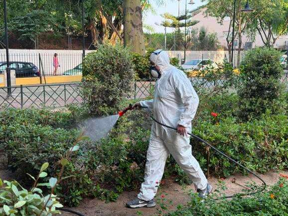 El Ayuntamiento refuerza las labores de prevención y control de mosquitos en los próximos meses