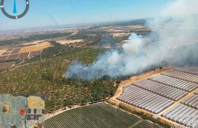 Retiran los cinco medios aéreos del Infoca tras estabilizarse el incendio en Moguer