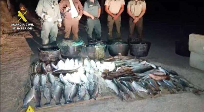 Cuatro personas bajo investigación por pesca furtiva en Doñana tras la incautación de 500 kilos de captura ilegal