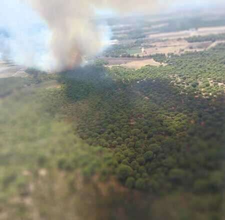 Treinta bomberos realizan labores nocturnas en el incendio de Lucena bajo condiciones de fuerte viento