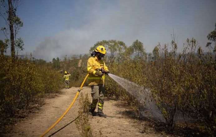 Incendio de Niebla alcanza situación operativa 2 debido a su inestabilidad con la llegada de la UME