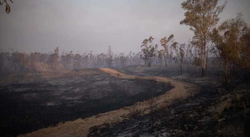 Sanz anuncia progresos en el incendio de Niebla pero con dudas por un nuevo cambio de viento