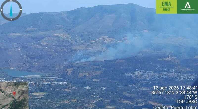 Incendio forestal en el Valle de Lecrín estabilizado por el Infoca
