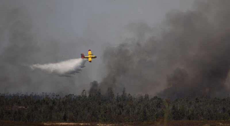 Hasta 31 aeronaves están operando en el incendio de Niebla desde el mediodía