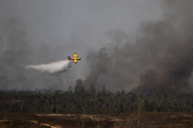 Hasta 31 aeronaves están operando en el incendio de Niebla desde el mediodía