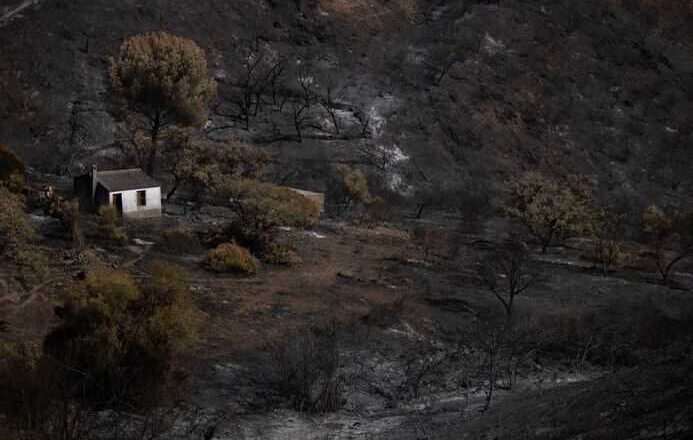 Sanz informa sobre la evolución del incendio de Niebla y la transición a fase de preemergencia