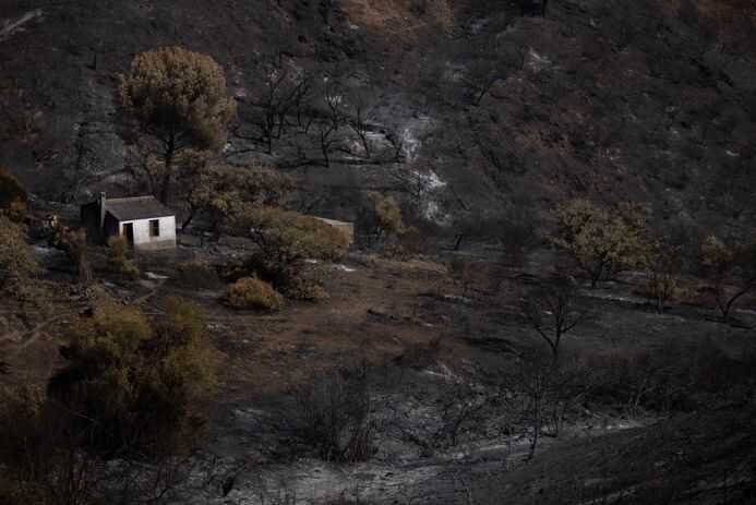 Sanz informa sobre la evolución del incendio de Niebla y la transición a fase de preemergencia