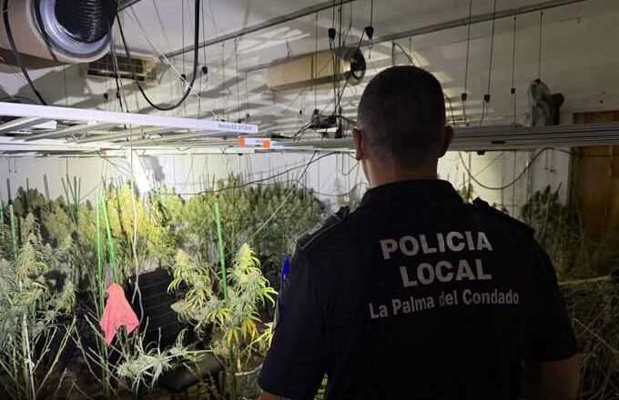 Gran hallazgo de una plantación de marihuana en La Palma del Condado tras un incendio en una finca