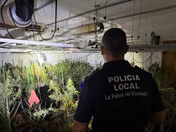 Gran hallazgo de una plantación de marihuana en La Palma del Condado tras un incendio en una finca