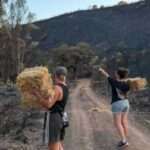 Voluntarios se desplazan al área del incendio de Niebla para ayudar a una fauna en situación de vulnerabilidad