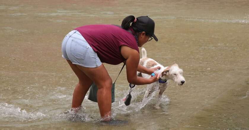 La EMA recomienda precaución por el aviso naranja de calor en Andalucía para mañana y el jueves