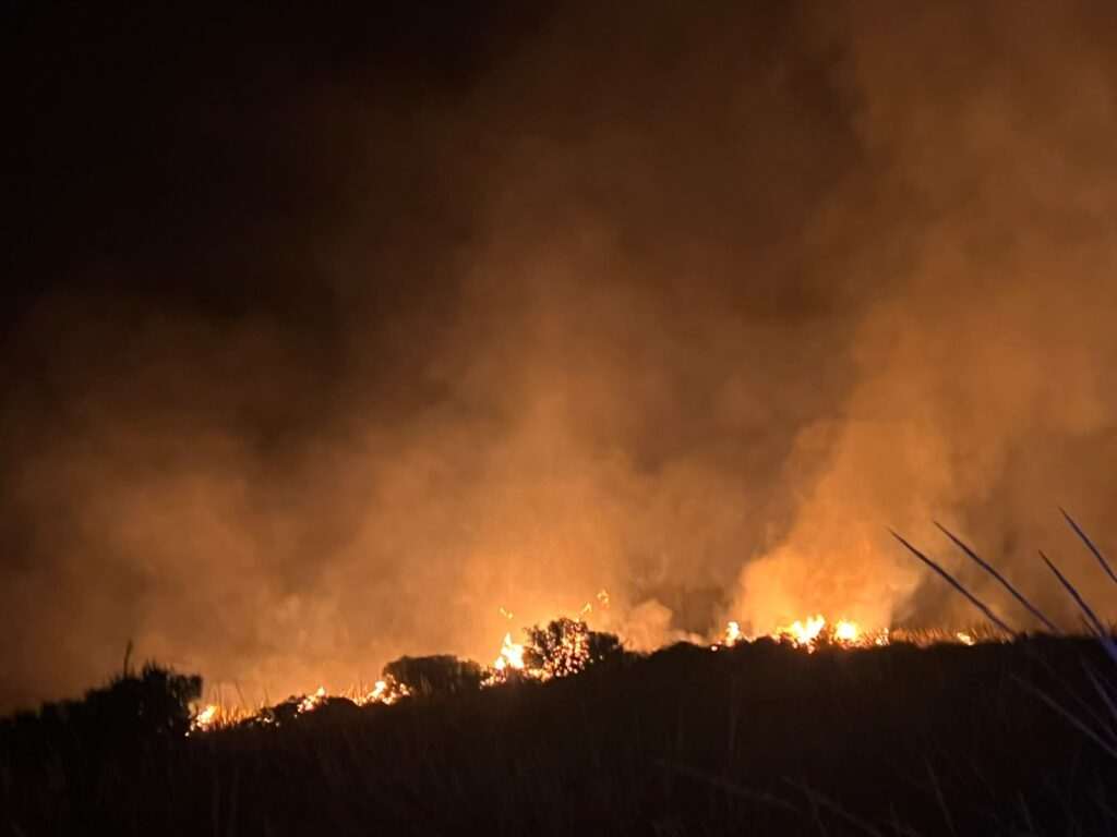 Diputación reconoce el esfuerzo de los bomberos de Bedmar en el incendio de Jódar