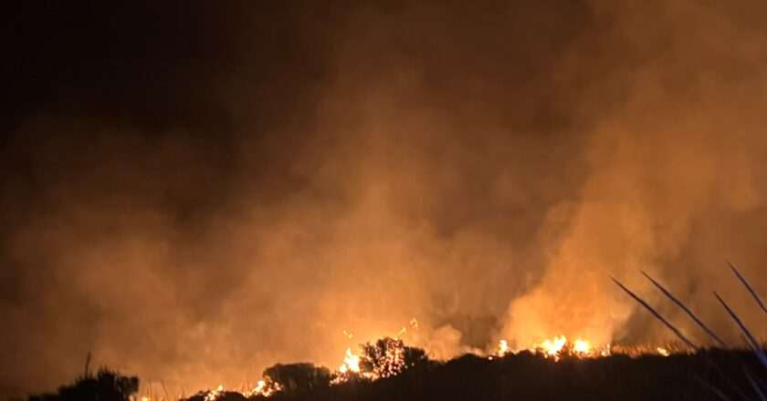 Diputación reconoce el esfuerzo de los bomberos de Bedmar en el incendio de Jódar