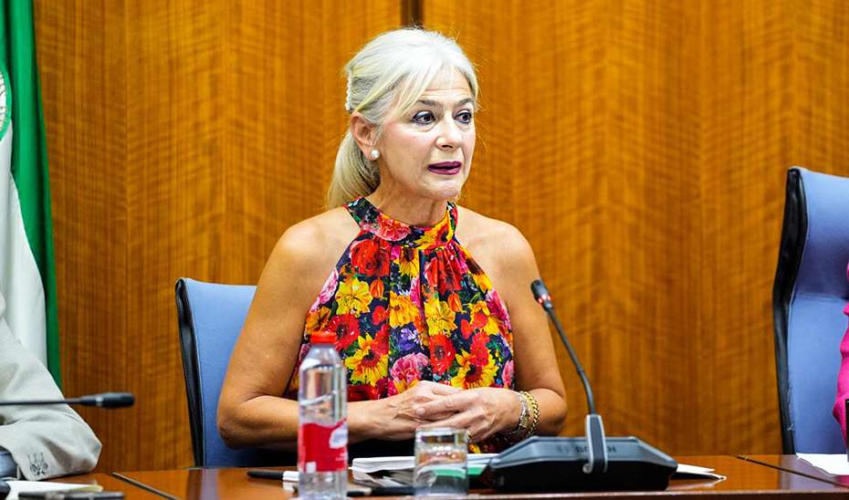 Las Jornadas Europeas de Patrimonio despiertan el interés por el legado cultural en más de 72.000 andaluces