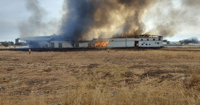 Operativos luchan contra el incendio en una nave abandonada de Palma del Río