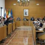 El Pleno de Diputación aprueba una declaración institucional por el Día Mundial de la Salud Mental