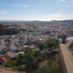 La producción de aguacate en Andalucía crece casi un 45 % en la campaña 2025-2026