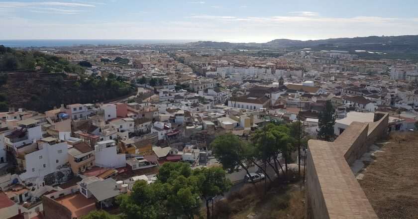 La producción de aguacate en Andalucía crece casi un 45 % en la campaña 2025-2026